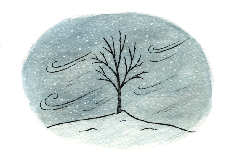 Illustration: The tree stands leafless as cold winter winds blow. 