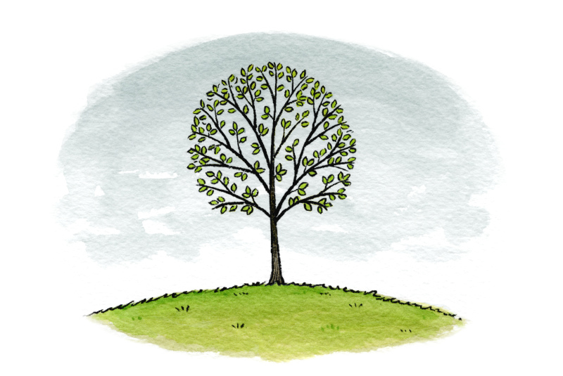Illustration: Tree stands alone with new leaves sprouting. 