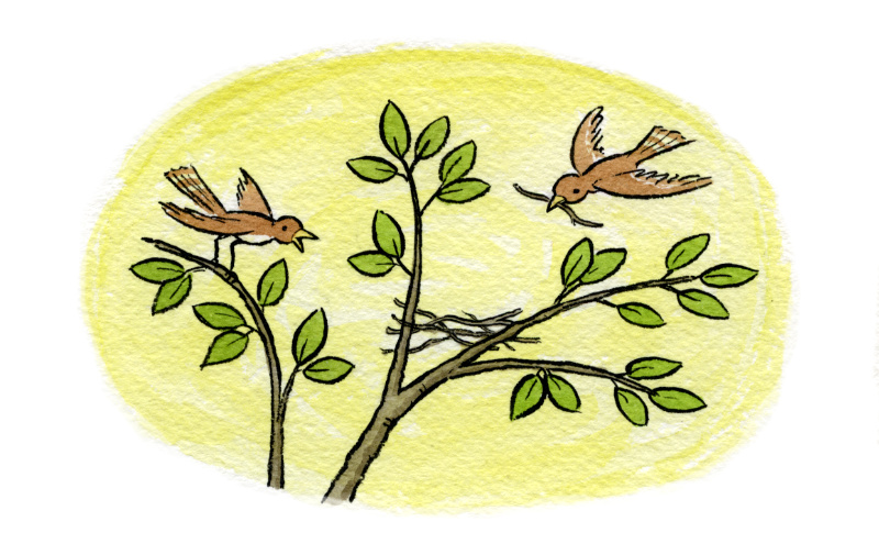 Illustration: Two birds build a nest in the tree's branches.