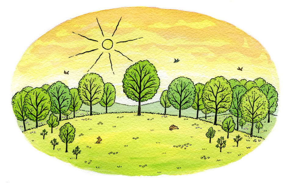 Illustration: Tree stands on the hillside surrounded by many other trees of various size, as the sun shines, birds fly, and rabbits play in the grass. 